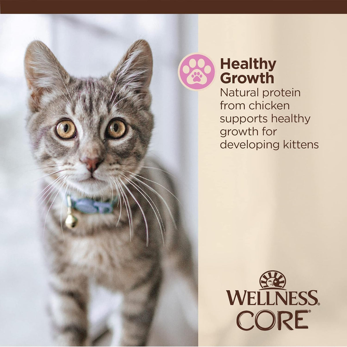Natural grain free kitten food with DHA and taurine for brain development