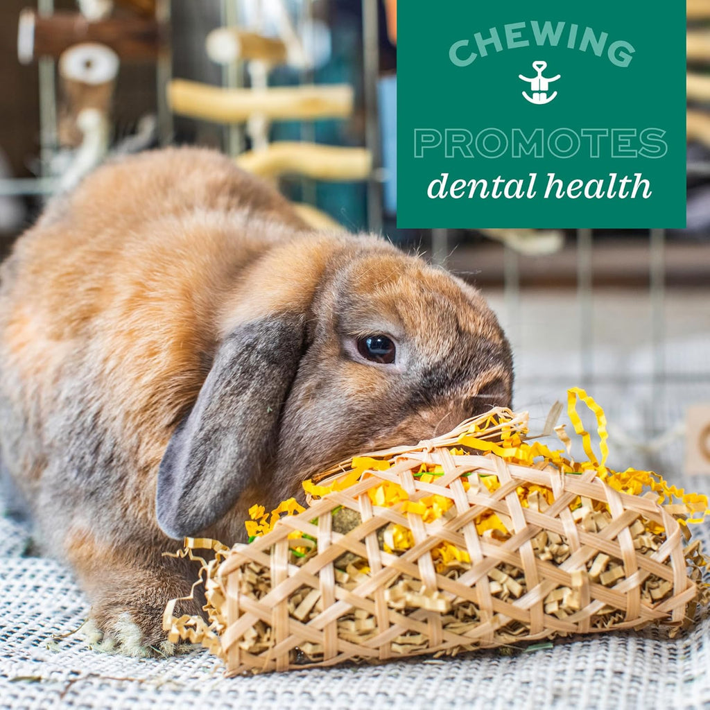 Rabbit habitat setup with wooden chew toy