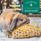 Oxbow small pet enrichment product ready for use