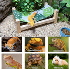 Washable green canvas fabric sheet removed from the wooden lizard lounger