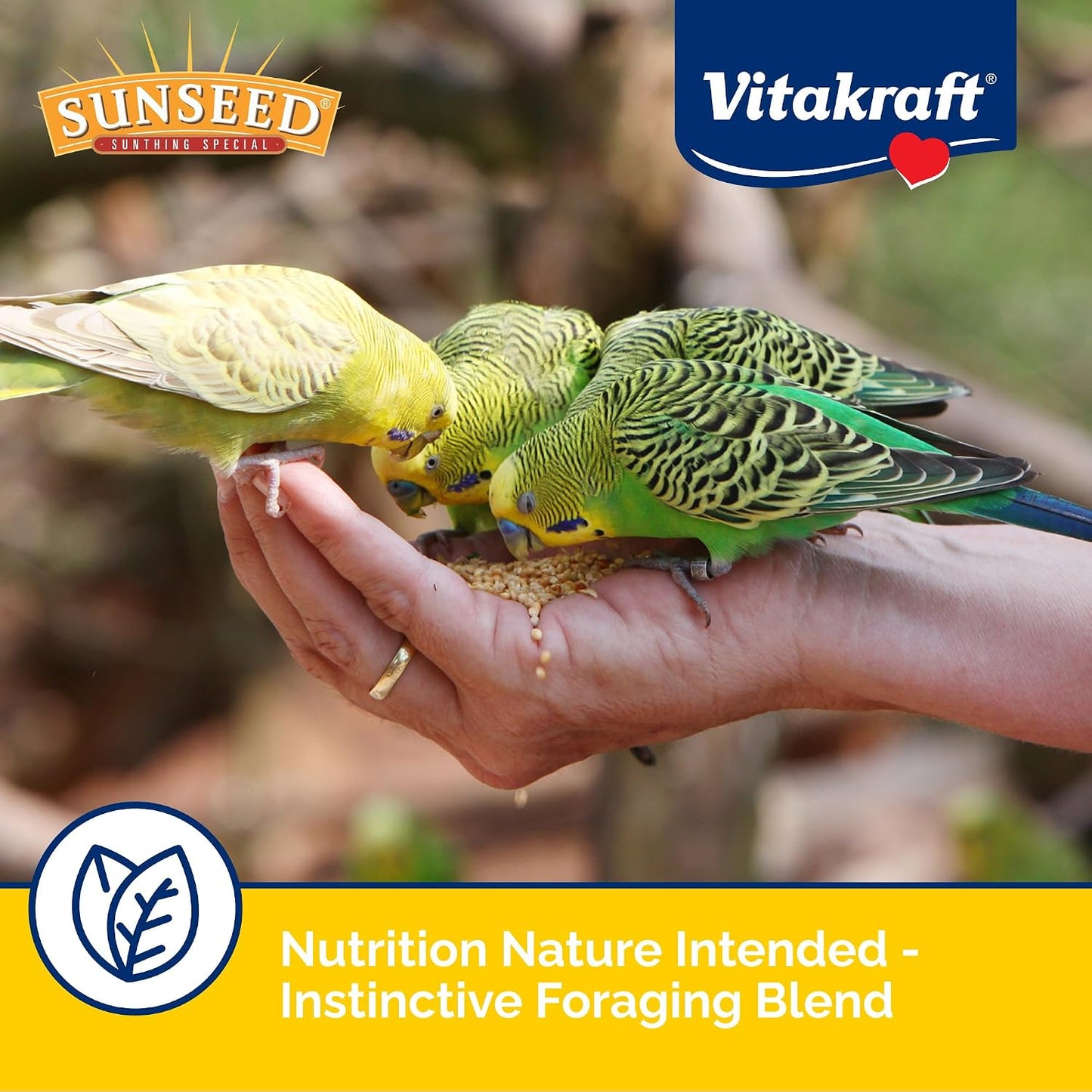 Parakeet eating Sunseed Vita Prima nutritious seed mix from dish
