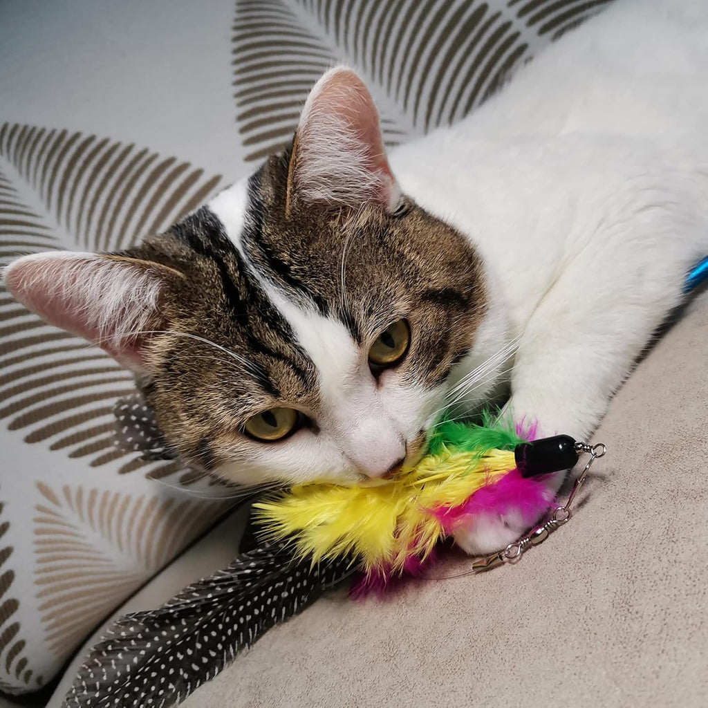 TIENAILING cat wand replacement pack showing a variety of colorful feather teasers on a clean background.
