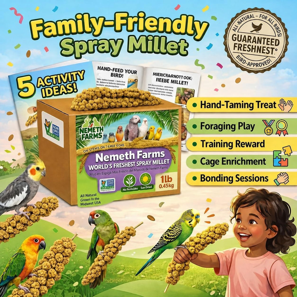 Nemeth Farms Spray Millet - Edible Tops Only, Non-GMO and Sun-Dried - 1 lb for Parakeets, Canaries and Finches - Image 3