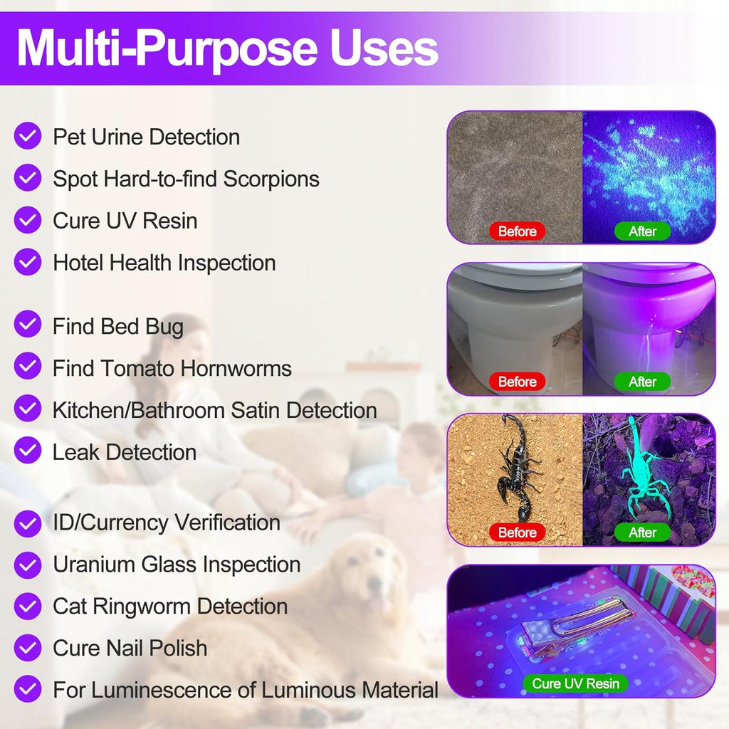 Vansky 21 LED blacklight detecting dried dog urine on carpet