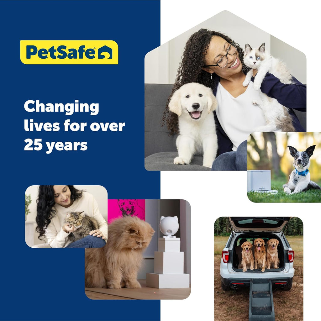 PetSafe royal blue premium nylon dog collar close up loop