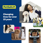 PetSafe royal blue premium nylon dog collar close up loop
