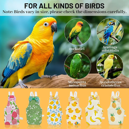 USA imported Telooco parrot diaper kit package contents for Indian bird owners
