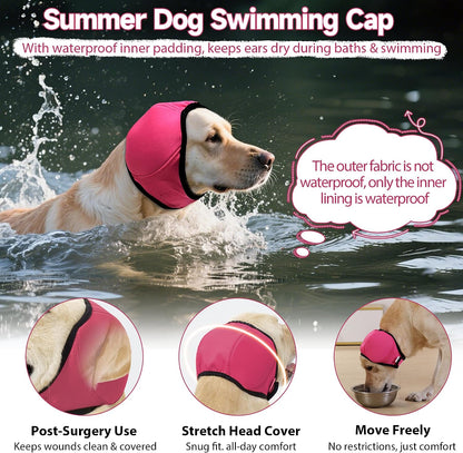 PurrHug no shake ear wrap applied to a small breed for hematoma support