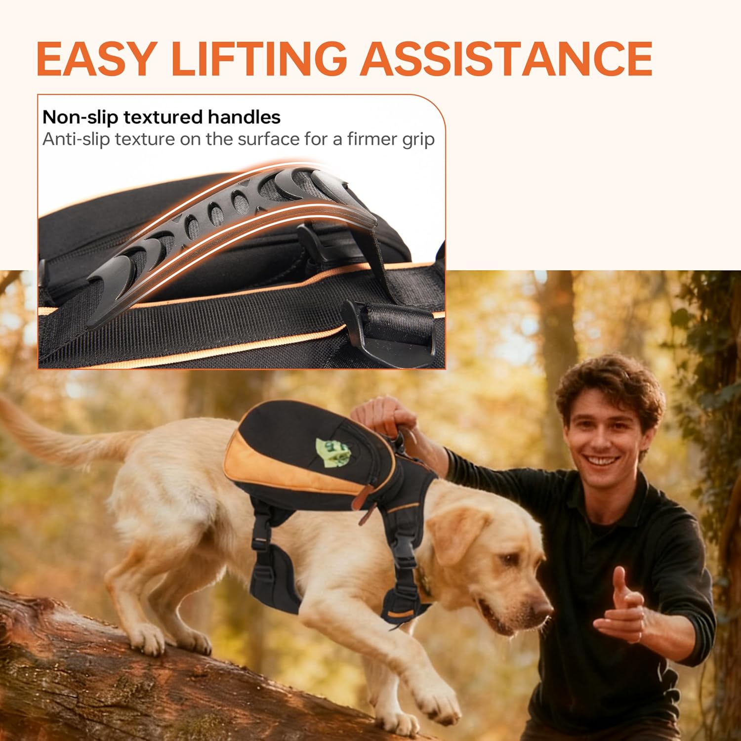 Adjustable nylon straps and eyelet buckles on the pet hiking pack.