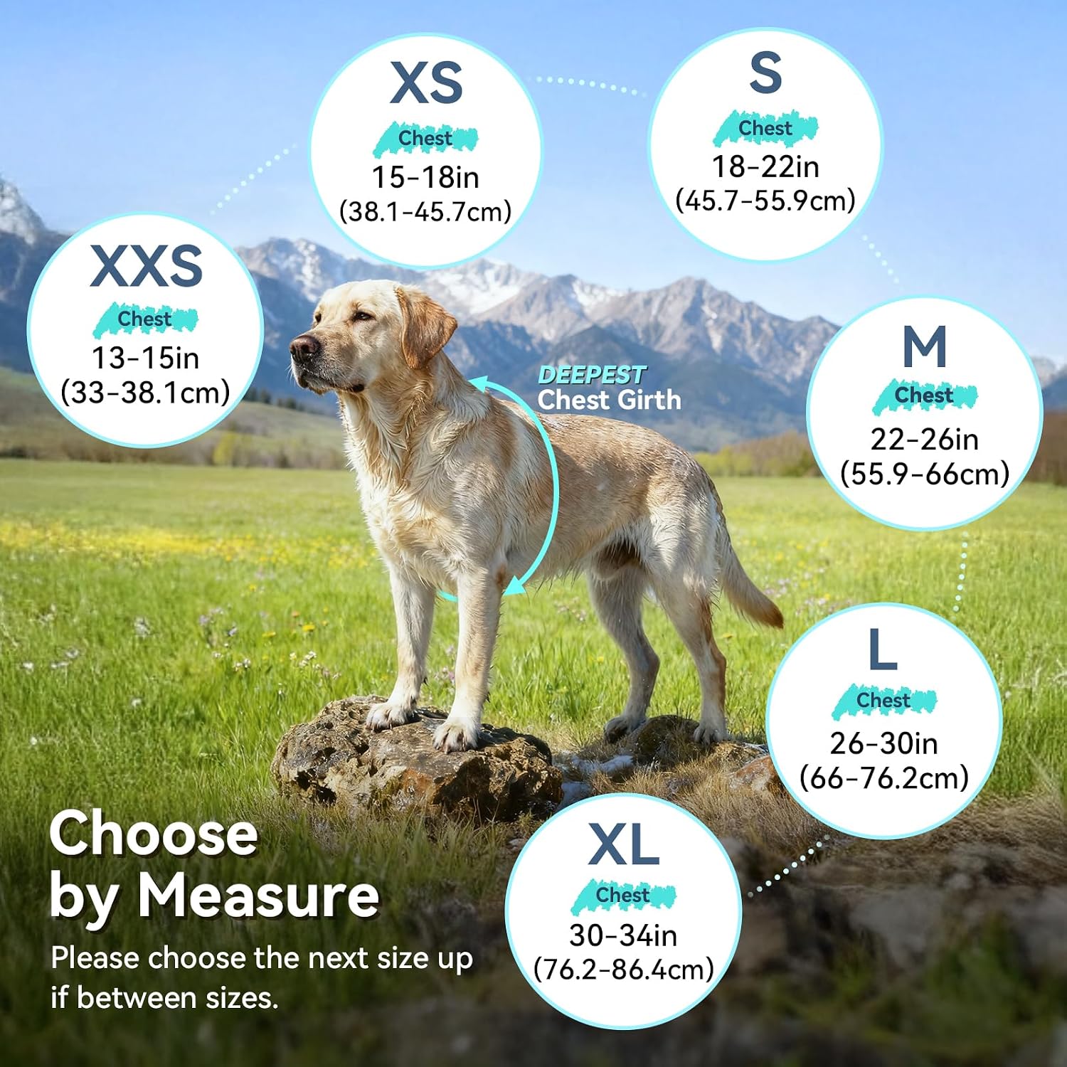 Vivaglory breathable pet safety vest jacket belly strap adjustment
