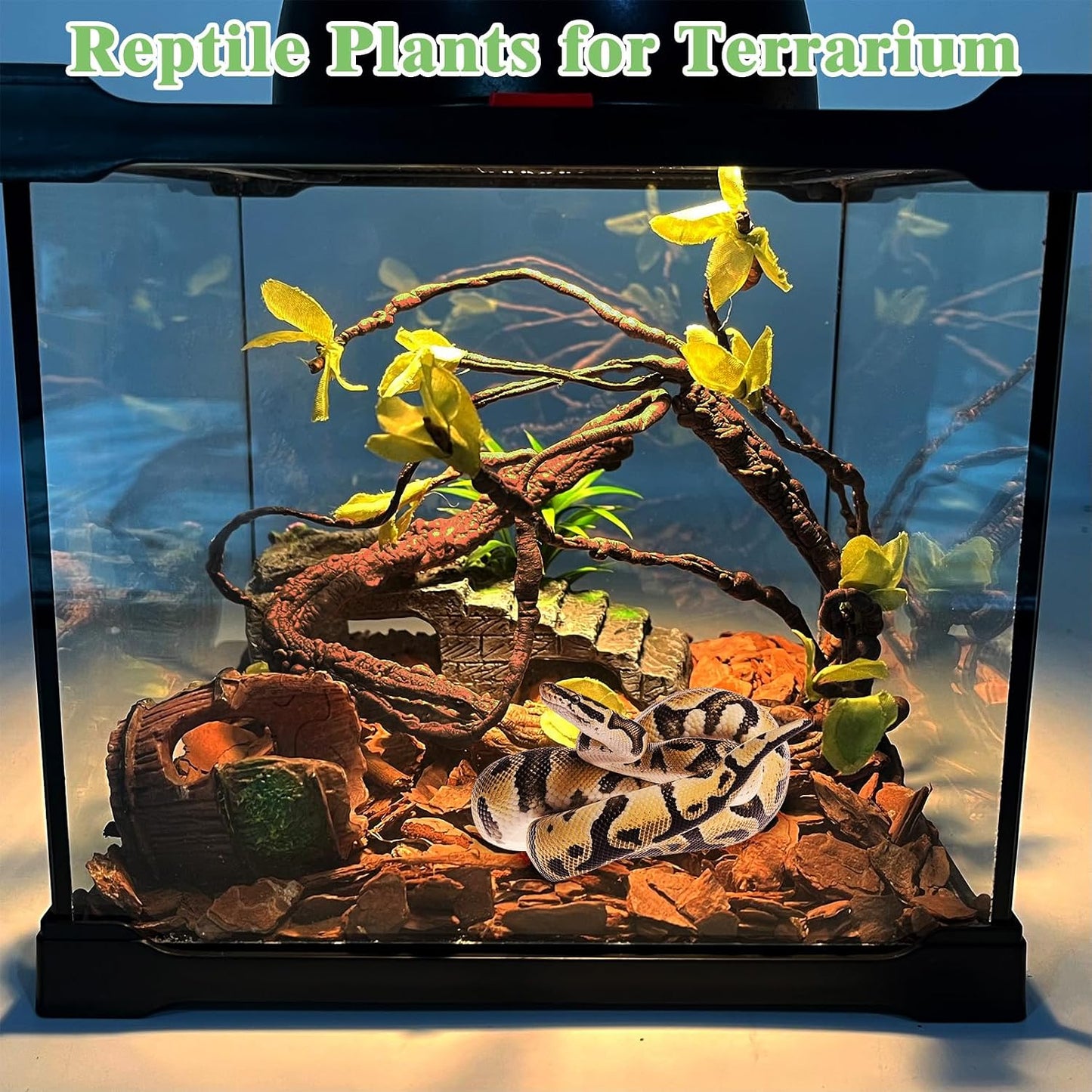 Bendable jungle vine for chameleon and bearded dragon climbing