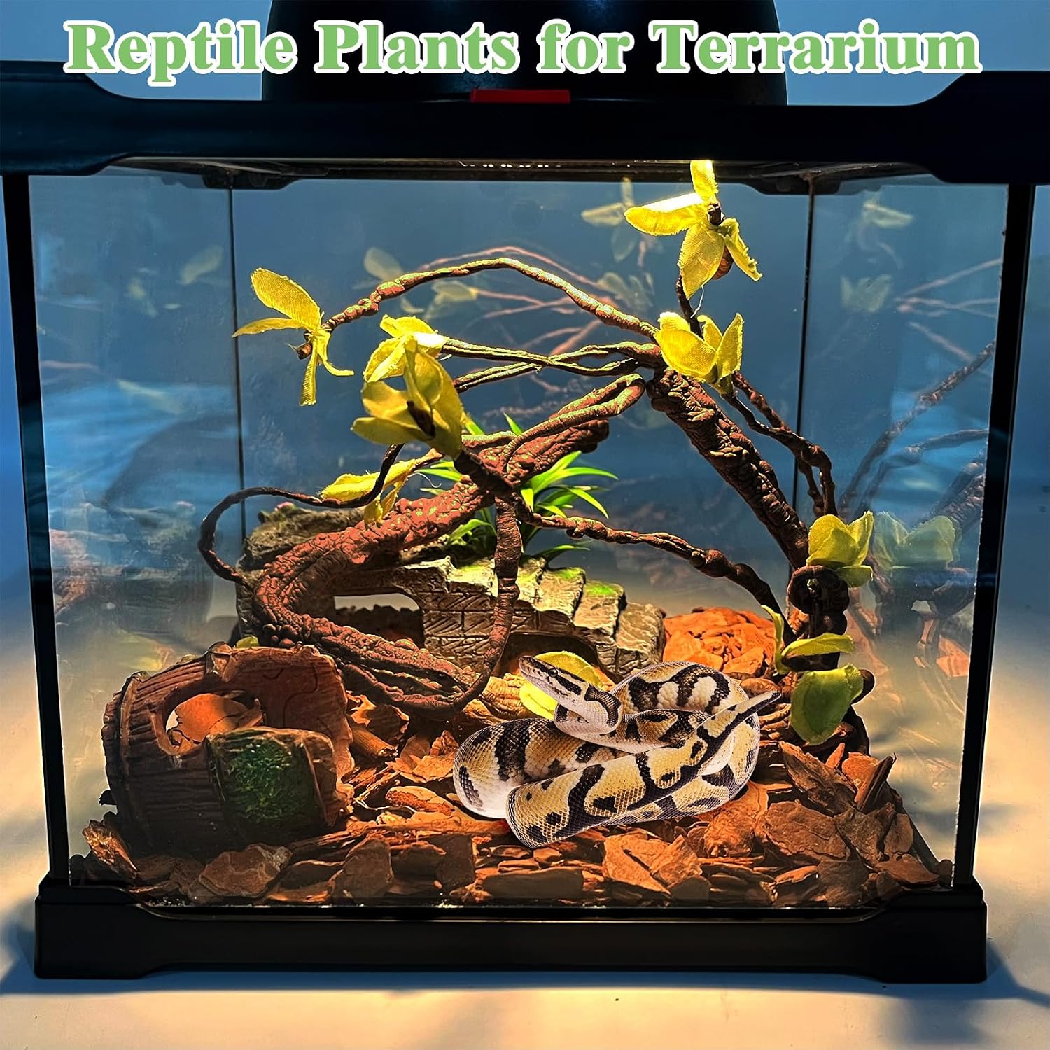 Bendable jungle vine for chameleon and bearded dragon climbing