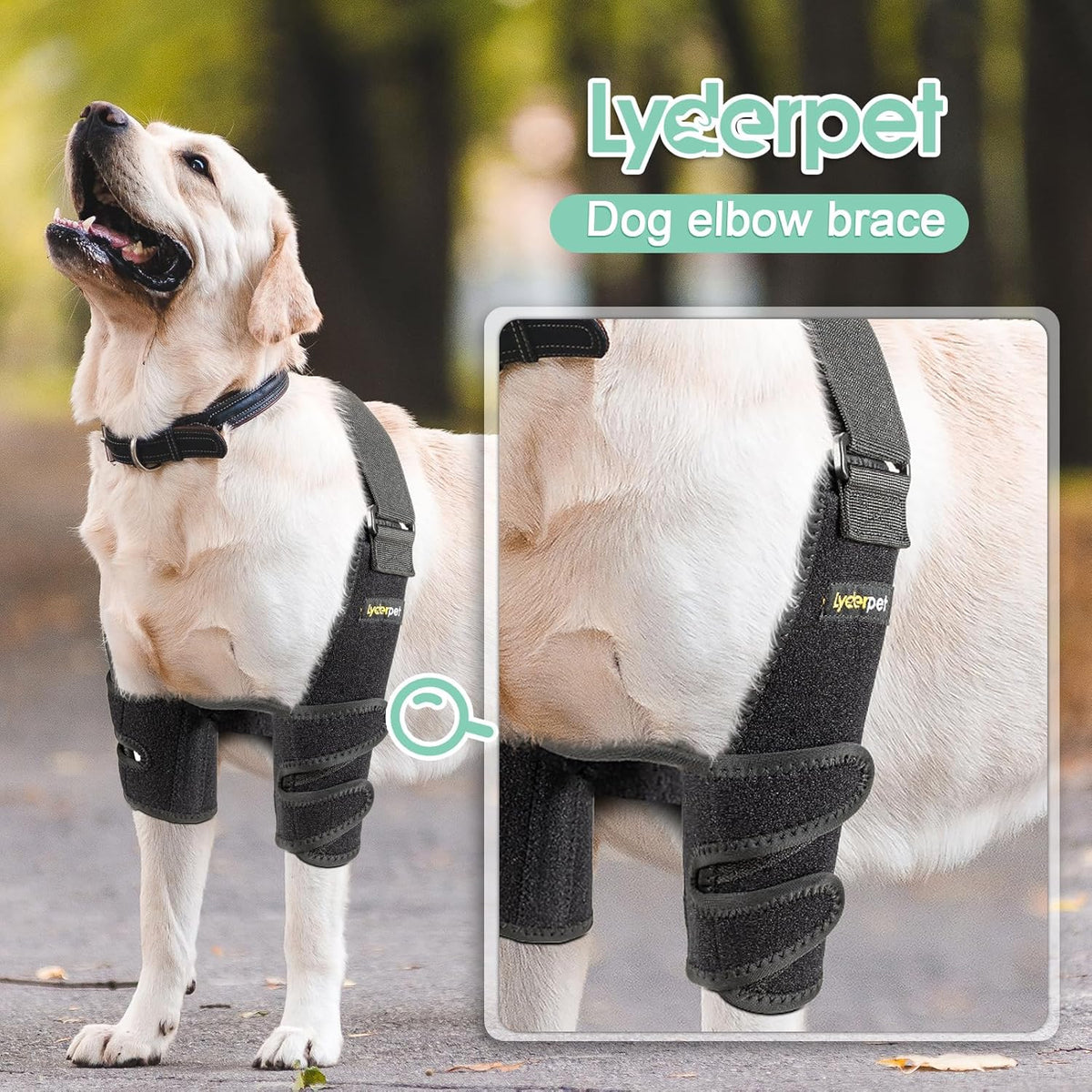 Close up of breathable neoprene dog elbow pad