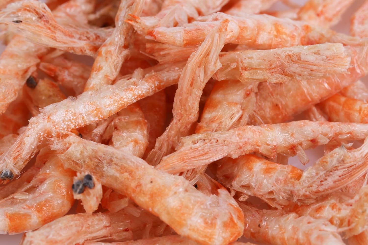 Nutrient rich freeze dried krill shrimp food texture close up view