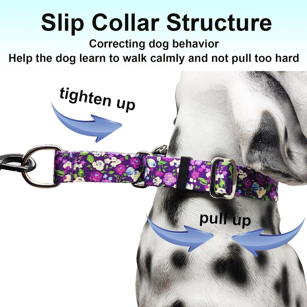 Medium size Fidohug martingale dog collar displaying the adjustable nylon strap mechanism