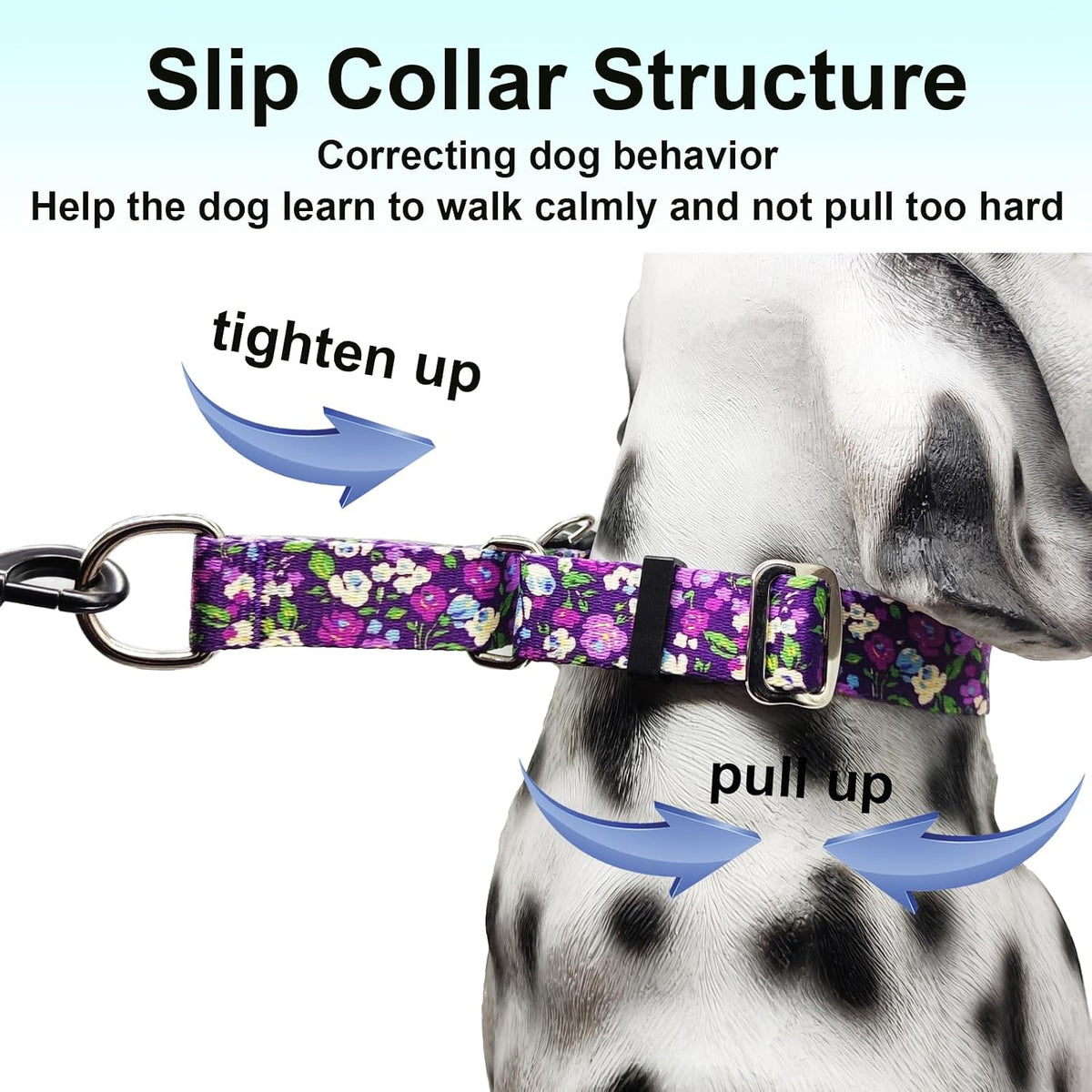 Medium size Fidohug martingale dog collar displaying the adjustable nylon strap mechanism