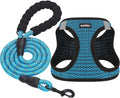 Matilor step-in breathable dog harness front view