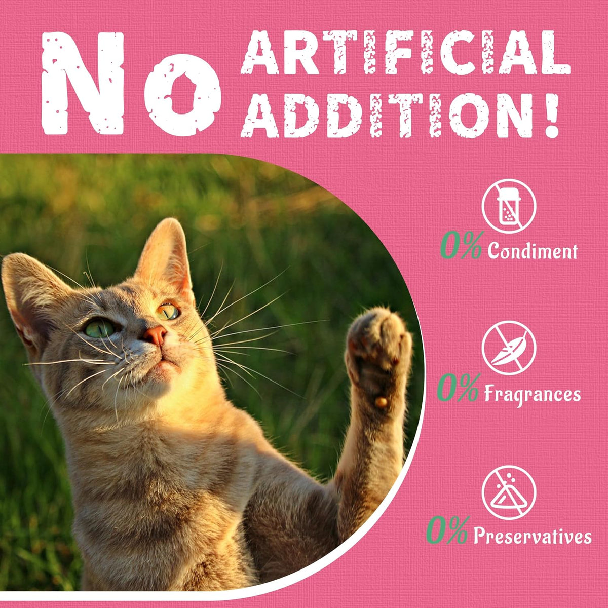 Just Try premium imported USA pet health treats for feline urinary care.
