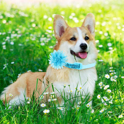 Sadnyy 120 Pcs Dog Collar Flower Bows for Dogs Soft Multi Color Flower Bows Chiffon Dog Collar Accessory for Small Medium Large Puppy Cats Grooming Birthday Wedding Summer Parties - Image 9