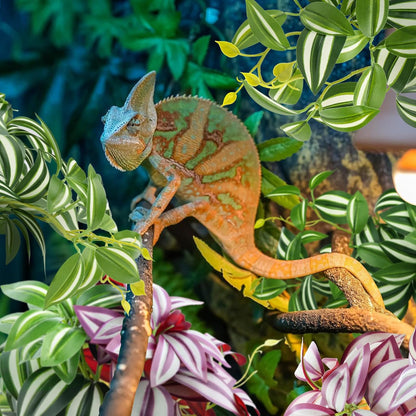 Reptile habitat decor purple and green hanging vines