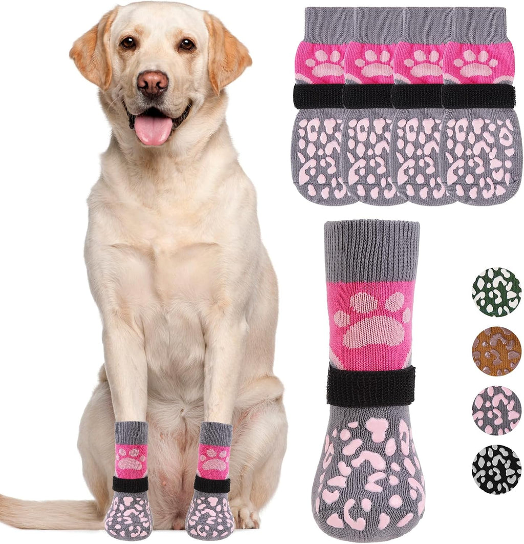 Senior dog walking safely with anti slip socks