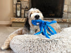 Interactive tug and fetch octopus toy for pets