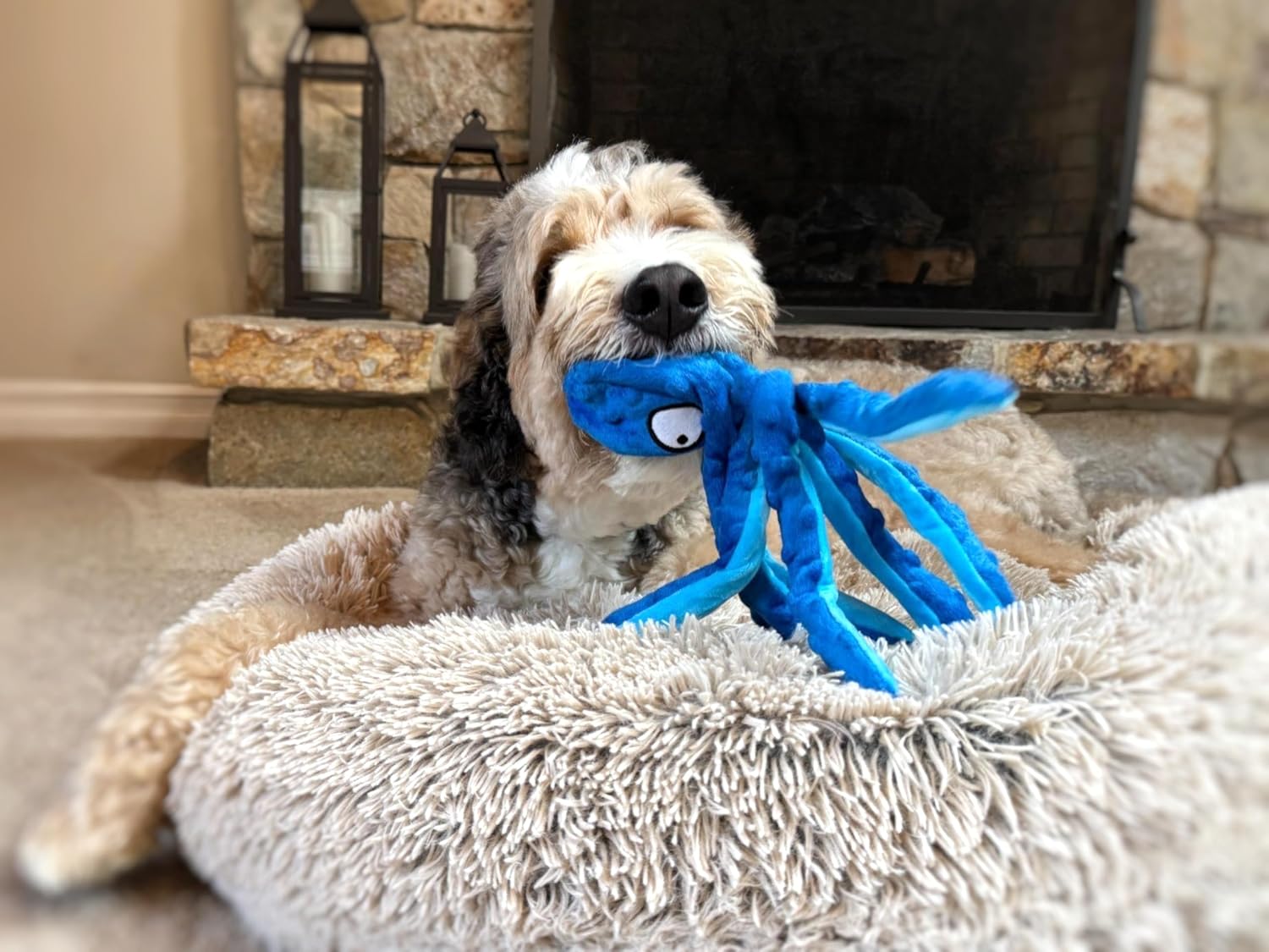 Interactive tug and fetch octopus toy for pets