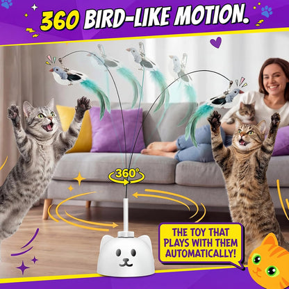 High quality imported interactive cat accessories for apartment and indoor use.