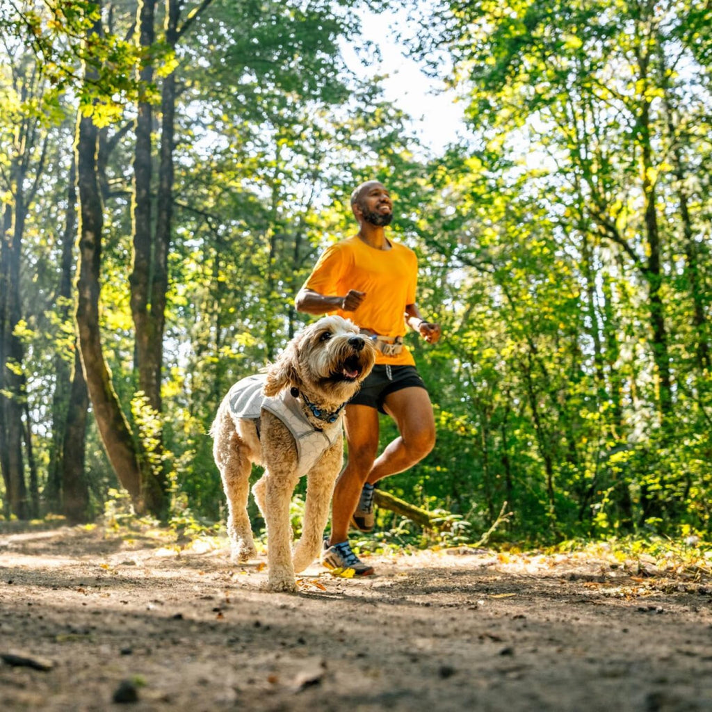 Lightweight sun protection dog clothing for Indian summer walks