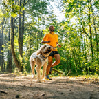 Lightweight sun protection dog clothing for Indian summer walks