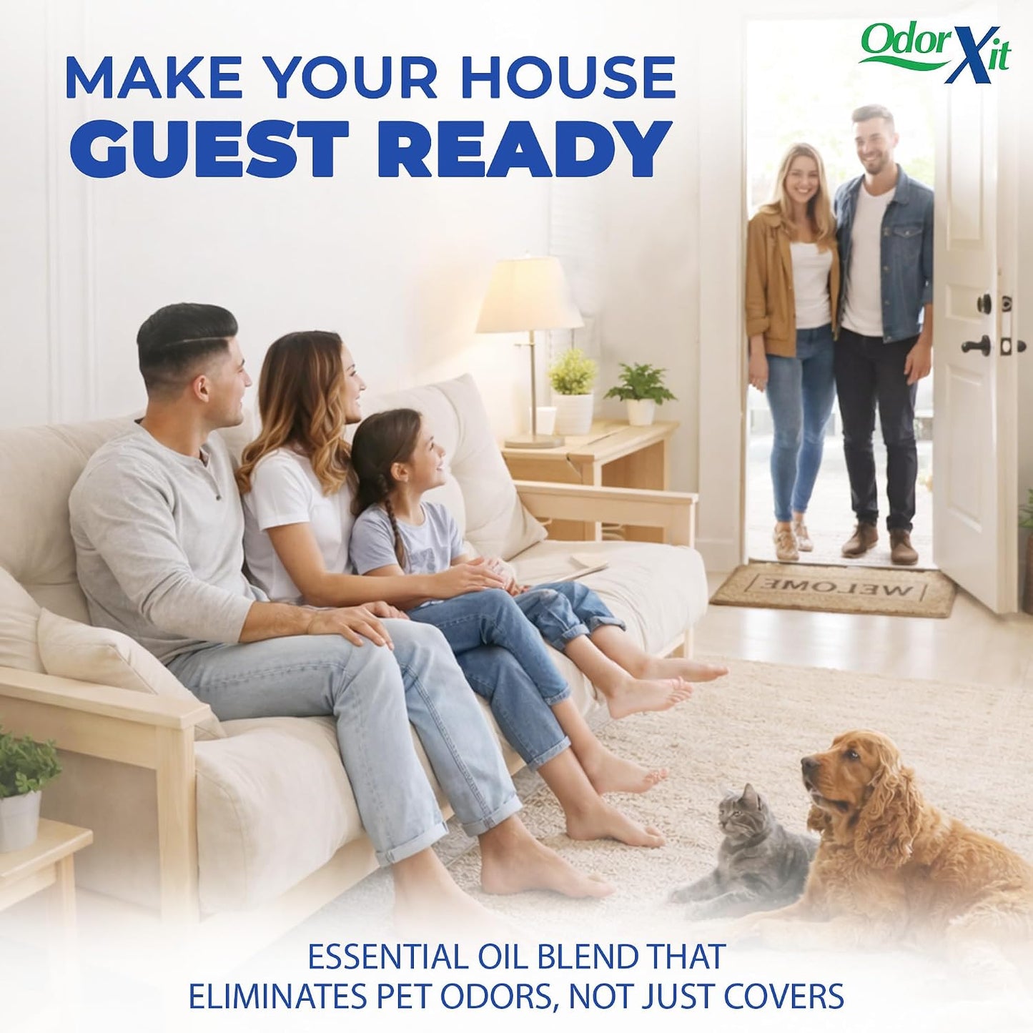 OdorXit non toxic urine salt neutralizer for wood floors and fabrics