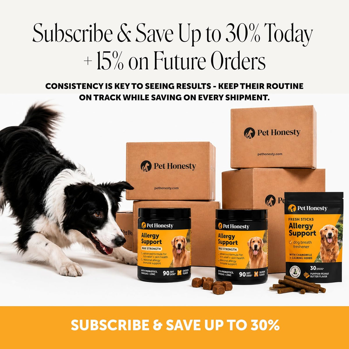 Pet Honesty dog supplement for paw licking and itchy skin relief