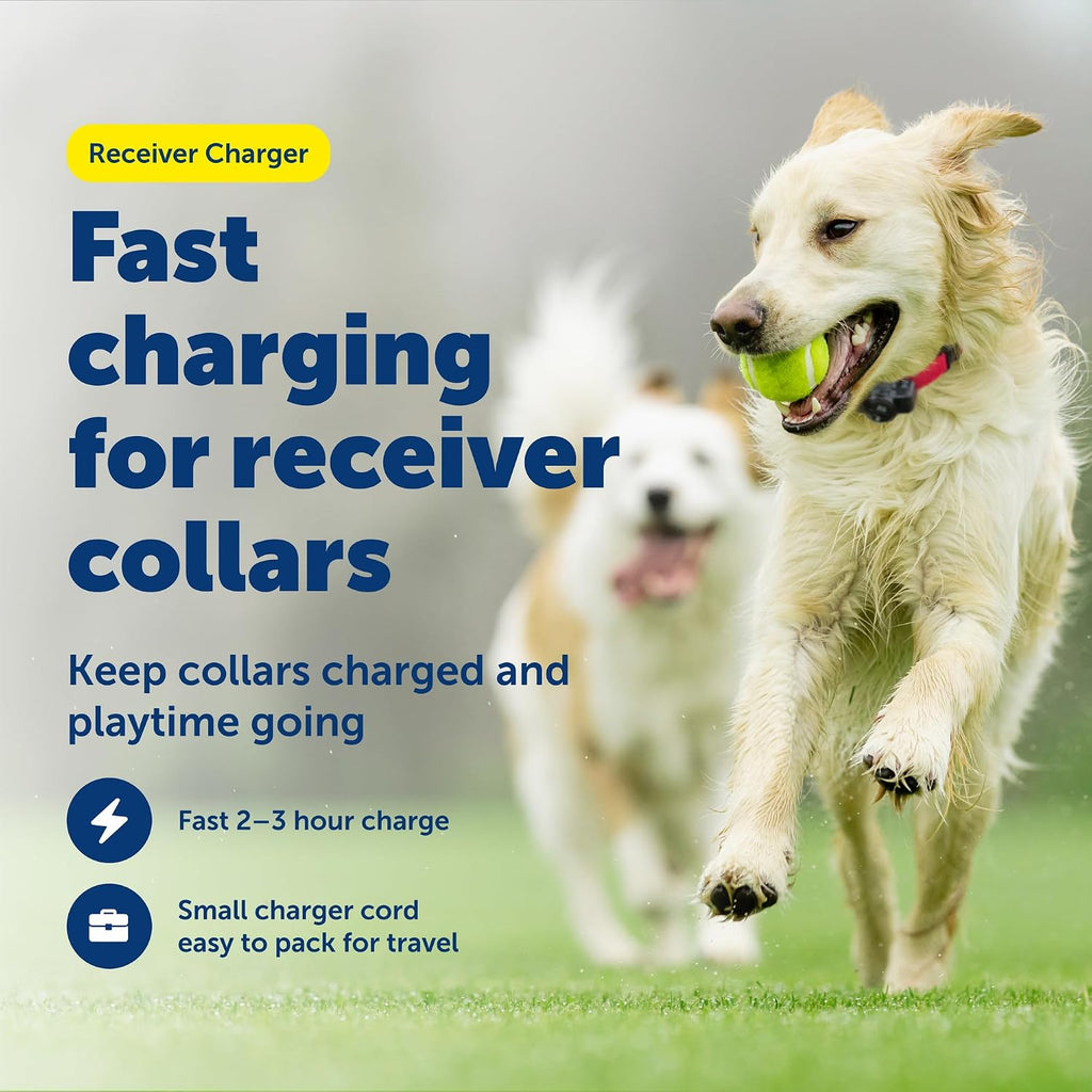 PetSafe fast charging collar cable spread out to show the full four foot length.