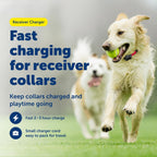 PetSafe fast charging collar cable spread out to show the full four foot length.