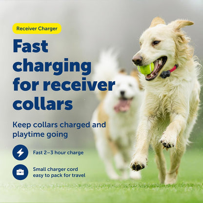 PetSafe fast charging collar cable spread out to show the full four foot length.