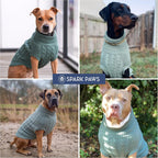 Spark Paws knit apparel for broad chested bully breeds