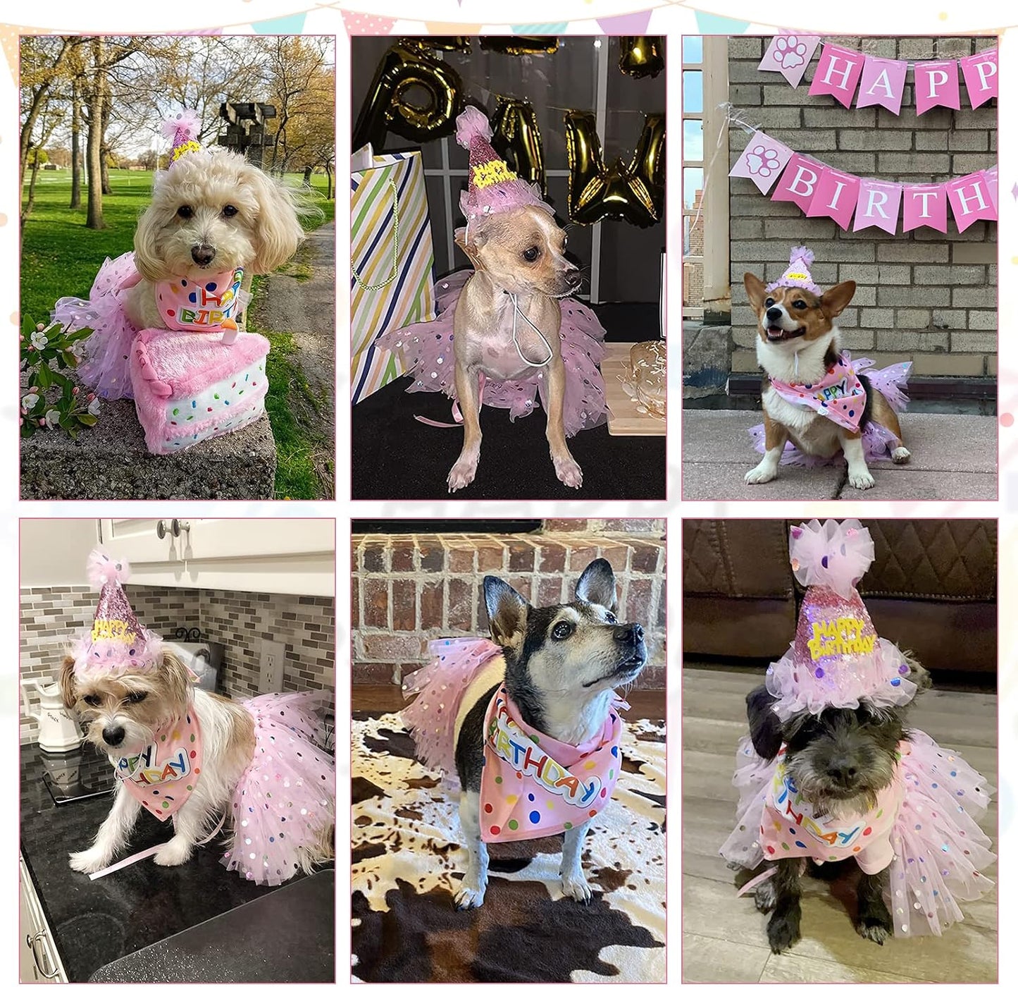 Complete three piece female dog birthday princess costume outfit set details