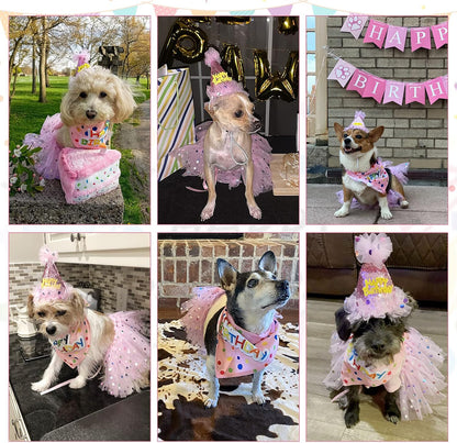 Complete three piece female dog birthday princess costume outfit set details