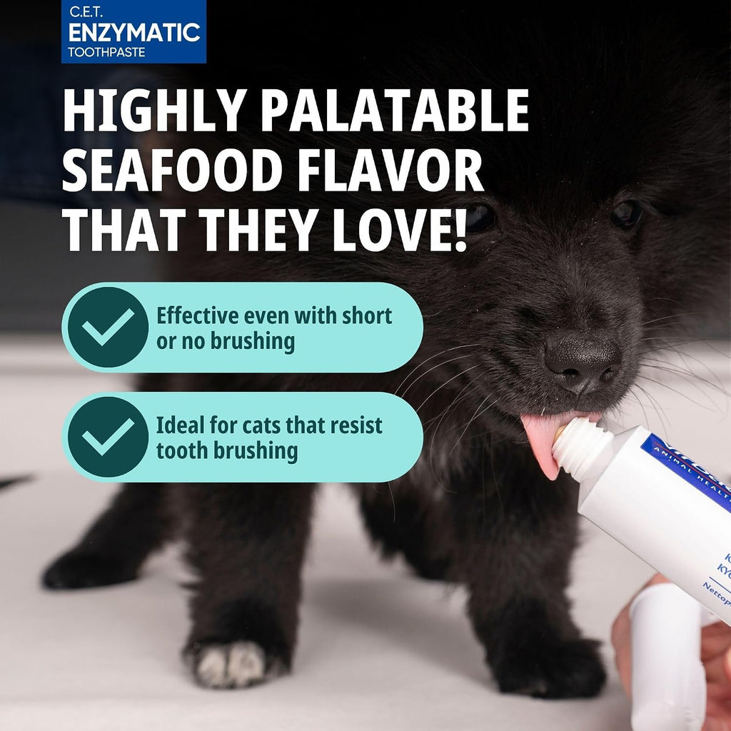 Feline mini toothbrush and fingerbrush included in the veterinary dental care set