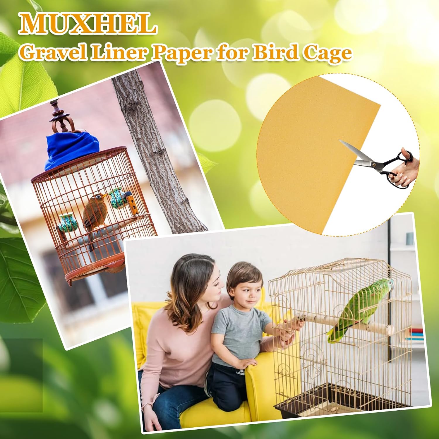 Parrot inside a cage with gravel liner base