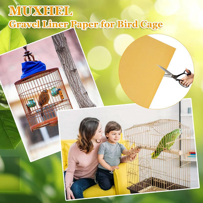 Parrot inside a cage with gravel liner base
