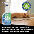 Simple Green professional grade pet stain remover back label view