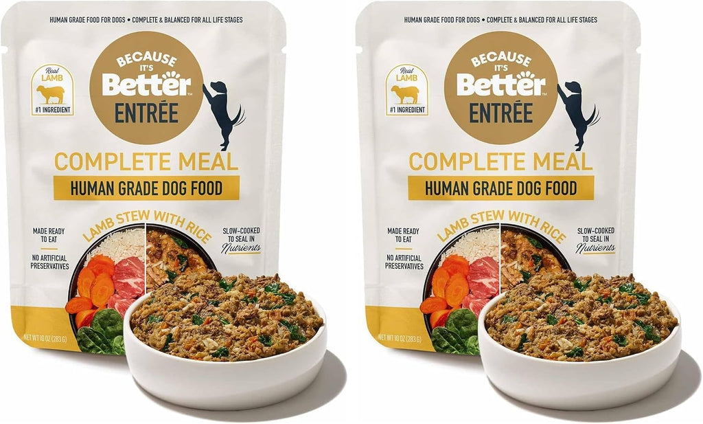 A happy dog next to Because Its Better human grade wet food pouch representing healthy pet nutrition