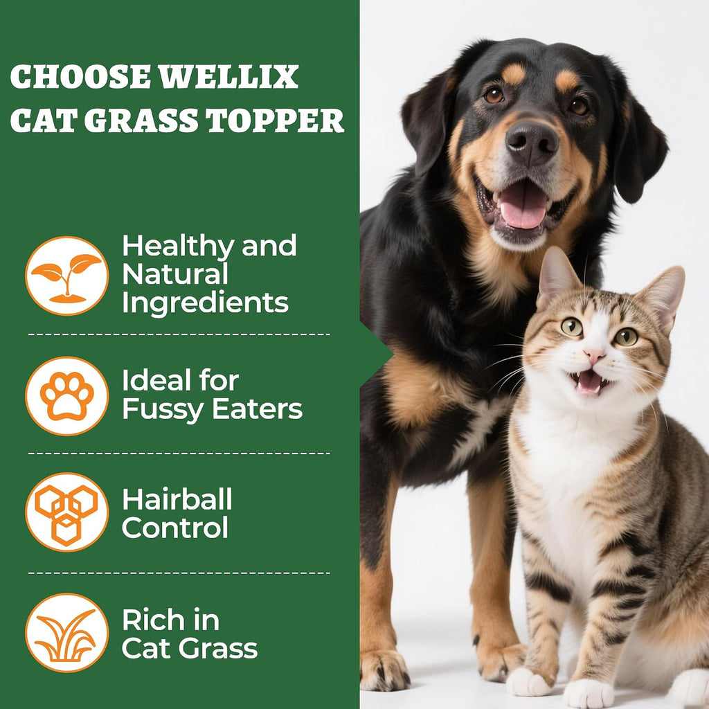 Low calorie training treats for dogs and cats by Wellix