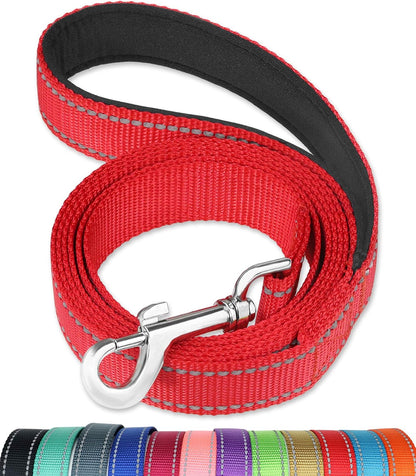 FunTags reflective dog leash front view showing the vibrant red color.