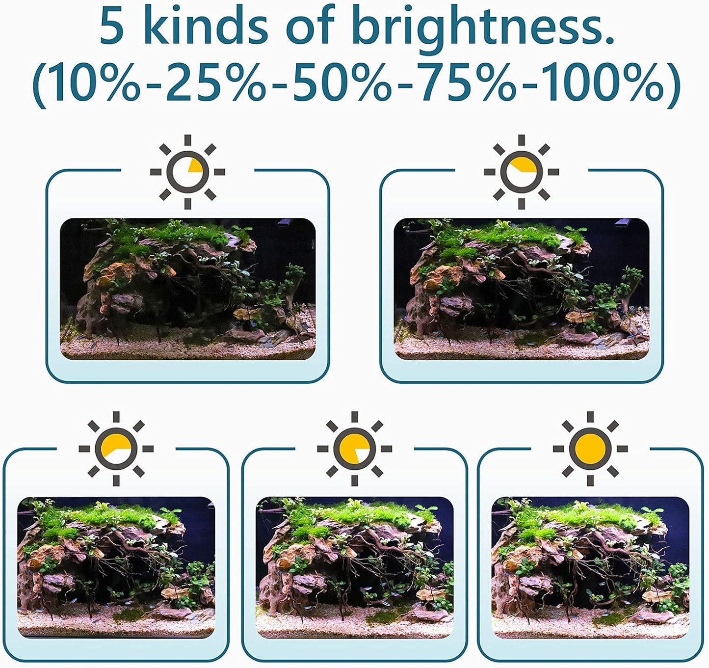 Hygger aquarium light displaying multiple color options