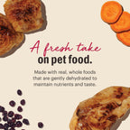 The Honest Kitchen Human Grade Dehydrated Grain Free Chicken Cat Food 4 Pound (Pack of 1) - Image 4