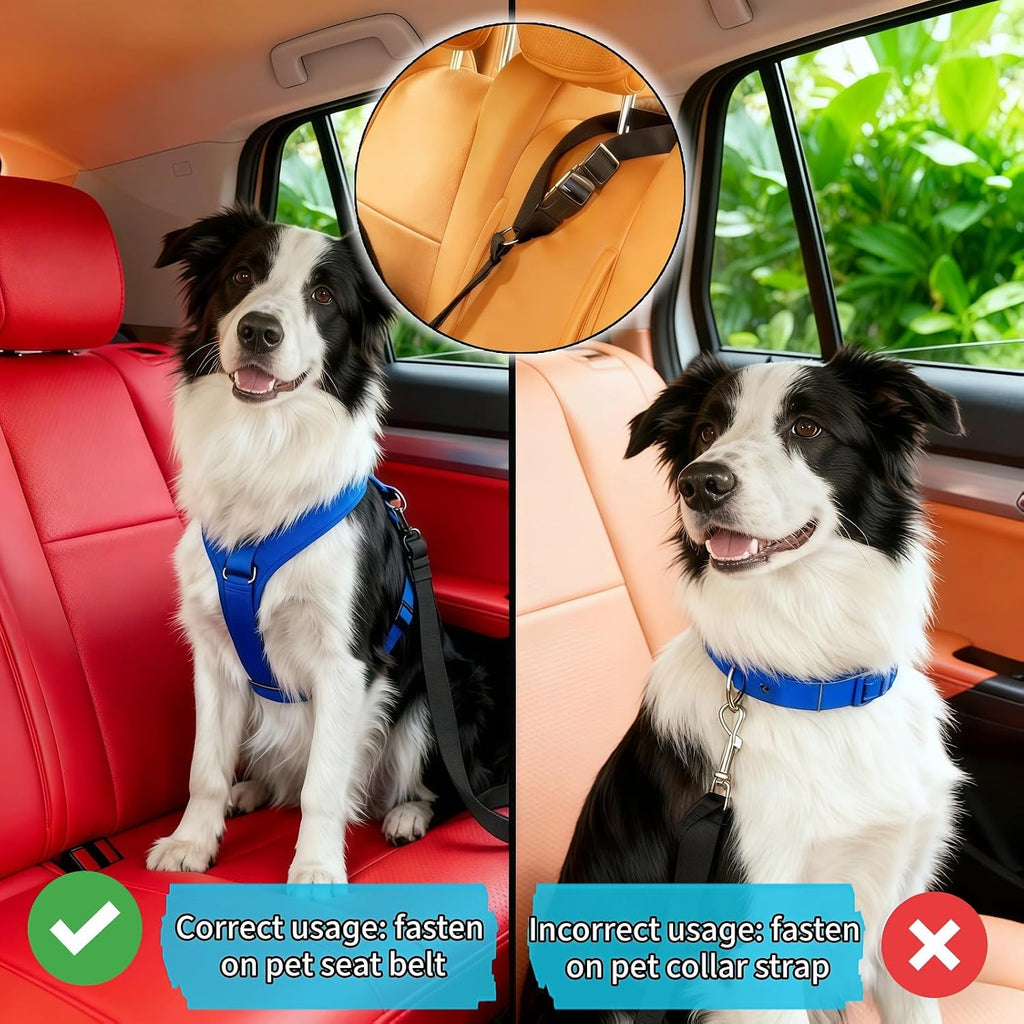 Two pack of RyanDesign dog car seat belts