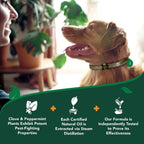 Vet's Best Natural Flea and Tick Collar for Dogs - Natural Repellent Collar with Plant-Based Ingredients - Flea and Tick Prevention and Treatment - Fits Small to Large Dogs - Up to 20" Neck Size - Image 9