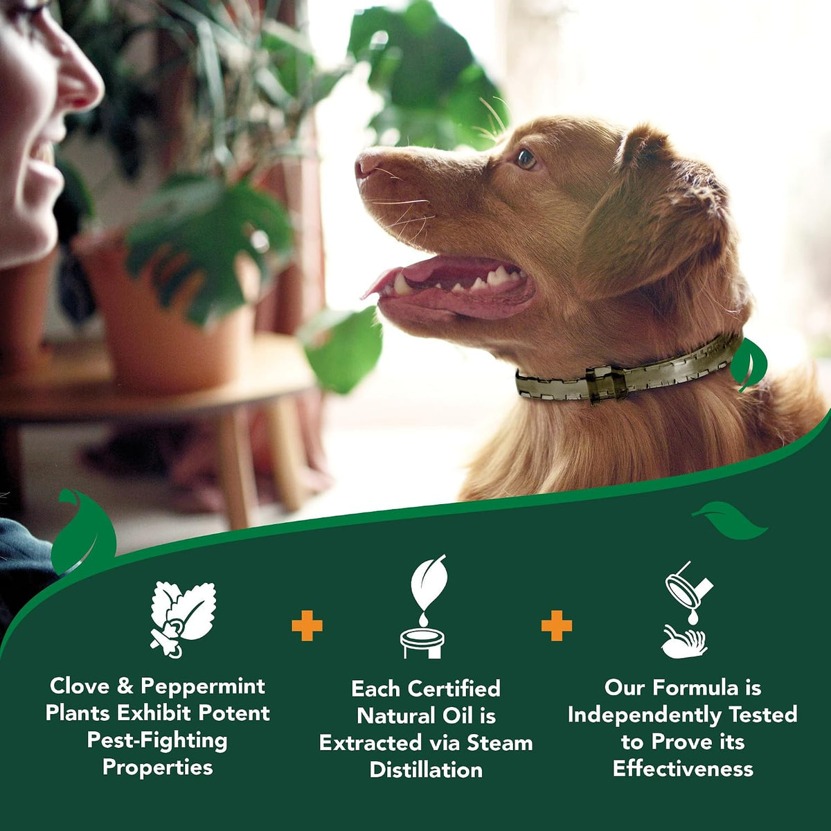 Vet's Best Natural Flea and Tick Collar for Dogs - Natural Repellent Collar with Plant-Based Ingredients - Flea and Tick Prevention and Treatment - Fits Small to Large Dogs - Up to 20" Neck Size - Image 9
